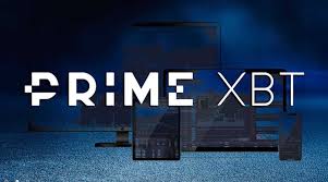 Primexbt vs Pocket Option A Comprehensive Comparison Primexbt vs Pocket Option A Comprehensive Comparison