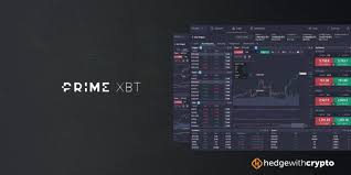Primexbt vs Pocket Option A Comprehensive Comparison Primexbt vs Pocket Option A Comprehensive Comparison