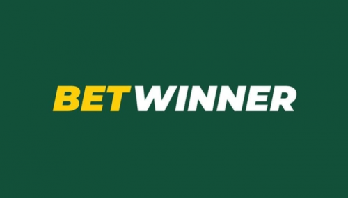 Understanding the Thrill of BetWinner Sports Betting