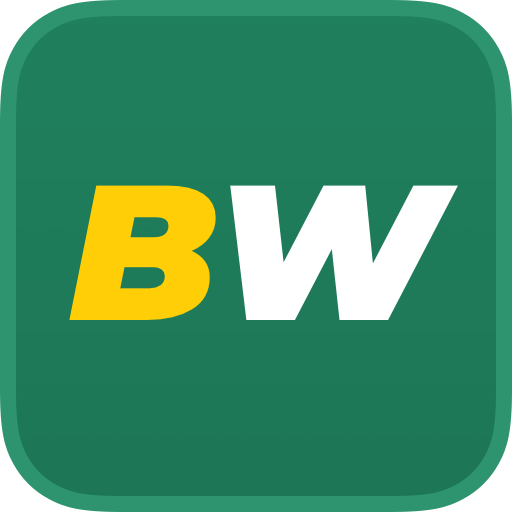 Understanding the Thrill of BetWinner Sports Betting