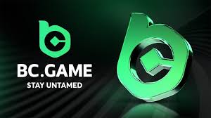 Everything You Need to Know About BC.Game log in 4
